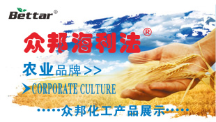 ϵ